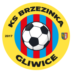 KS Gliwice-Brzezinka